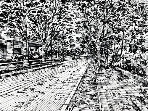 plane trees,tram road,tree lined lane,tree-lined avenue,sidewalk,pointillism,pen drawing,mono-line line art,row of trees,tree canopy,bicycle lane,bicycle path,avenue,vanishing point,birch alley,railtr