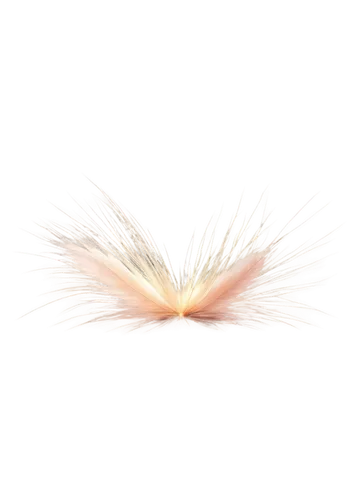 volumetric,feather bristle grass,pyrotechnic,airburst,softspikes,flying sparks,particle,quasiparticles,particles,sparks,shower of sparks,sunburst background,explode,missing particle,last particle,sparking plub,firework,light streak,plumes,pink grass,Illustration,Retro,Retro 04