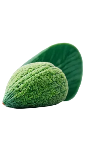 chloropaschia,chloroplast,seedpod,chloroplasts,microflora,phytochrome,stomata,magnolia leaf,petiole,microsporum,mitochondrion,bioethanol,microalgae,acorn leaf,chloroprene,photosynthetic,spring leaf background,viridiplantae,nepenthaceae,green leaf,Photography,Documentary Photography,Documentary Photography 07