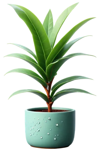 potted palm,potted plant,houseplant,money plant,plant pot,container plant,pineapple plant,pot plant,growth icon,aloe vera,green plant,potted tree,rank plant,indoor plant,oil-related plant,pineapple lily,polka plant,plant,fan palm,norfolk island pine,Illustration,Vector,Vector 06