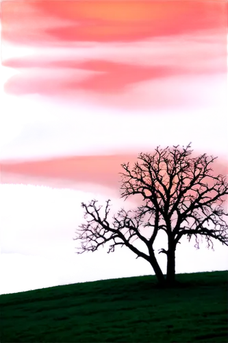 isolated tree,lone tree,arbre,bare tree,lonetree,tree,landscape background,red tree,tree thoughtless,dusk background,tree silhouette,bare trees,nature background,deciduous tree,oak tree,small tree,a tree,virtual landscape,walnut trees,watercolor tree,Art,Classical Oil Painting,Classical Oil Painting 11