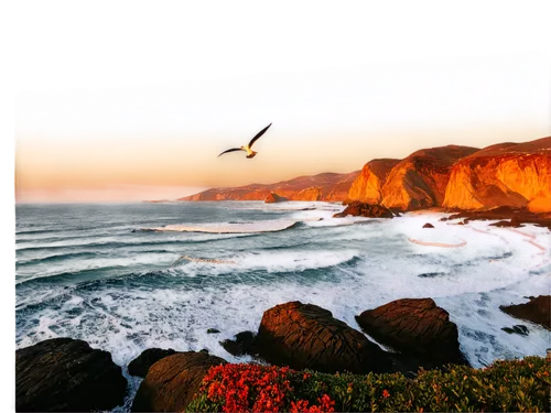 cliffs ocean,pigeon point,seascape,clifftops,coastal landscape,clifftop,cliff coast,landscape background,montara,peniche,sagres,seascapes,baja california sur,cliff top,rocky coast,photomanipulation,image manipulation,wildcoast,photo art,photo painting,Art,Artistic Painting,Artistic Painting 31