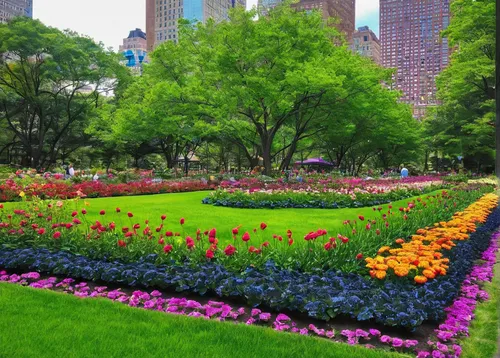 central park,flower clock,tulip festival,flower garden,spring garden,flower bed,flower meadow,field of flowers,flower borders,battery park,center park,flower border,flower carpet,colors of spring,gardens,splendor of flowers,vegetables landscape,flowerbed,springtime background,urban park,Photography,Fashion Photography,Fashion Photography 15