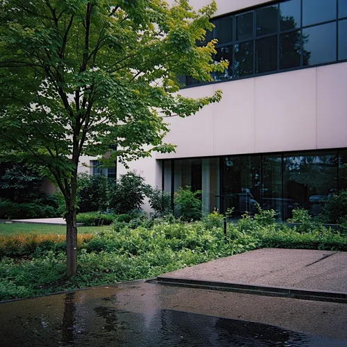 1building,water running on the ground below a tree near a building,landscaped,embl,aqua studio,technopark,schulich,greenspace