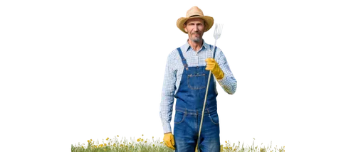 farmer, middle-aged man, rustic clothing, plaid shirt, denim overalls, straw hat, worn-out gloves, holding a pitchfork, standing in a field, green grass, yellow flowers, warm sunlight, 3/4 composition