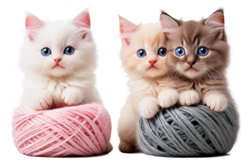 cats angora,kittens,doll cat,yarn balls,cute cat,baby cats,knitters,kittenish,cute animals,plush dolls,birman,catterns,georgatos,tabbies,ball of yarn,kits,two cats,vintage cats,kitties,soft toys,Illustration,Retro,Retro 09