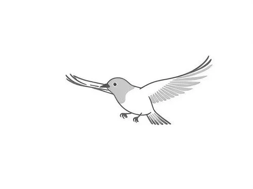 dove of peace,peace dove,bird png,bird illustration,tsuru,white dove,Design Sketch,Design Sketch,Rough Outline