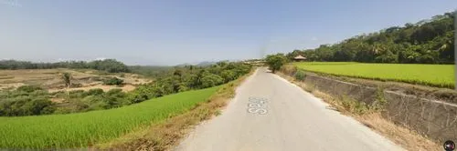 Javan-style tropical monsoon forest biome look, a typical Javan rice field area.,tanahun,mirik,champawat,sindhuli,baitadi,bajura,nuwakot,surkhet,dhulikhel,ha giang,bhanjyang,gulmi,nagarkot,road throug