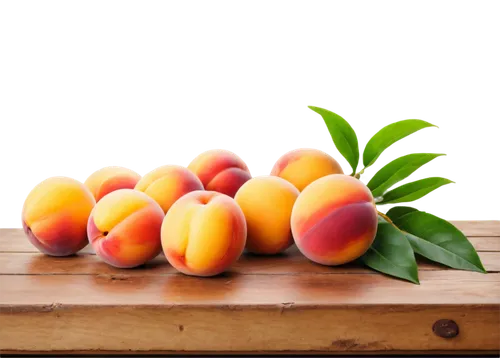 apricots,mangos,mangoes,mango,apricot,peaches,nectarines,papayas,peach tree,mandarins,pluots,apricot preserves,yellow plums,peach color,nectarine,yellow peach,fruit tree,mangue,tangerine fruits,stone fruit,Conceptual Art,Sci-Fi,Sci-Fi 20