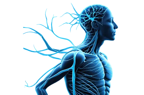 osteopathy,chiroscience,electrostimulation,acupuncturists,fibromyalgia,lymphatic,osteopath,osteopaths,chiropractic,neuromodulation,electrotherapy,microcirculation,electrophysiological,magnetic resonance imaging,craniosacral,lymphatics,divine healing energy,neurorehabilitation,kinesiology,neuromuscular,Art,Classical Oil Painting,Classical Oil Painting 33