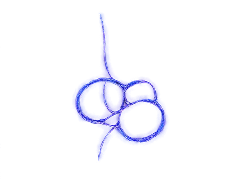 giardia,tetrahymena,rotifer,daphnia,dinoflagellate,embryo,ovules,choanoflagellates,sporangium,paraplatyptilia,entamoeba,acanthamoeba,ovule,caloptilia,fettis,elegans,microsporum,protozoans,protozoan,stomata,Photography,Fashion Photography,Fashion Photography 14