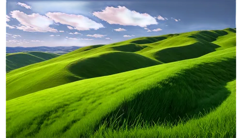 gras,grasslands,green landscape,grassy,grassland,green grass,rolling hills,green meadow,green fields,grasslike,grass,dune landscape,virtual landscape,hills,mountain slope,green grain,green wallpaper,landscape background,green,long grass,Conceptual Art,Daily,Daily 27