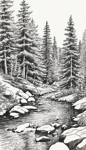 brook landscape,river landscape,mountain stream,salt meadow landscape,mountain river,flowing creek,forest landscape,hand-drawn illustration,a river,spruce-fir forest,small landscape,pine trees,winter landscape,mountain scene,spruce forest,coniferous forest,riparian forest,natural landscape,upper water,pen drawing,Illustration,Retro,Retro 09