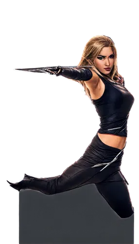 sandahl,swordswoman,stuntwoman,derivable,bow and arrow,kenjutsu,female warrior,femforce,sindel,claymore,baguazhang,vanzant,sprint woman,swordsmanship,katana,nidan,bow arrow,wushu,tanith,karatekas,Art,Artistic Painting,Artistic Painting 20