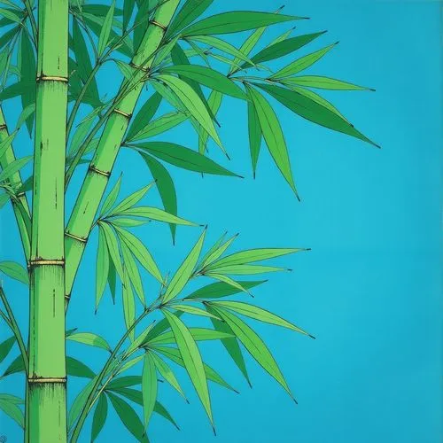 Lush bamboo leaves against a bright blue background.,a very tall green tree with leaves on it,bamboo plants,bamboos,hawaii bamboo,bamboo,black bamboo,phyllostachys