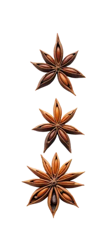 diwali background,flowers png,star anise,diwali wallpaper,fractal art,decorative flower,lotus png,tealight,light fractal,garrisoned,garridos,pine cone ornament,wood daisy background,art deco ornament,hindujas,flame flower,pine cone pattern,fractal lights,decorative element,garrisons,Conceptual Art,Daily,Daily 26