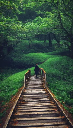 arashiyama,wooden bridge,japan garden,kyoto,ginkaku-ji,the chubu sangaku national park,japan landscape,jeju island,hokkaido,wooden path,meiji jingu,torii tunnel,淡島神社,yakushima,shirakawa-go,japan,nara park,tsukemono,torii,spring in japan,Photography,Documentary Photography,Documentary Photography 11