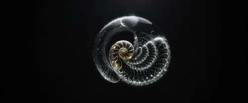 пусто,two shiny figures are seen in the dark,stellarator,time spiral,spiral background,apophysis,spiracle,spirtual