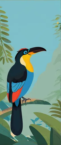 toco toucan,perched toucan,toucans,pteroglosus aracari,toucan,keel-billed toucan,pteroglossus aracari,yellow throated toucan,toucan perched on a branch,tucan,brown back-toucan,keel billed toucan,chestnut-billed toucan,rockhopper penguin,black toucan,swainson tucan,ivory-billed woodpecker,bird illustration,giant kingfisher,bird png,Illustration,Japanese style,Japanese Style 06