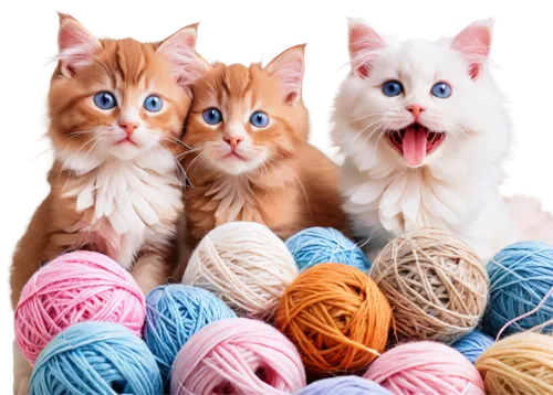 knitters,yarn,sock yarn,to knit,knitting clothing,yarn balls,knitter,knitting wool,knitting,ball of yarn,crocheting,knitting laundry,knits,cotton thread,kittens,cats angora,scarves,cotton cloth,woolens,crocheted,Art,Artistic Painting,Artistic Painting 23