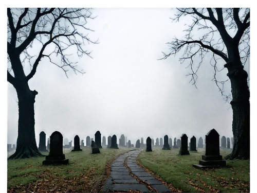 halloween background,dead end,graveyards,forest cemetery,burial ground,tombstones,grave stones,halloween border,life after death,halloween poster,epitaphs,gravestones,the mystical path,graveyard,halloween frame,cemetary,burials,cemetery,hollow way,friedhof,Art,Artistic Painting,Artistic Painting 06