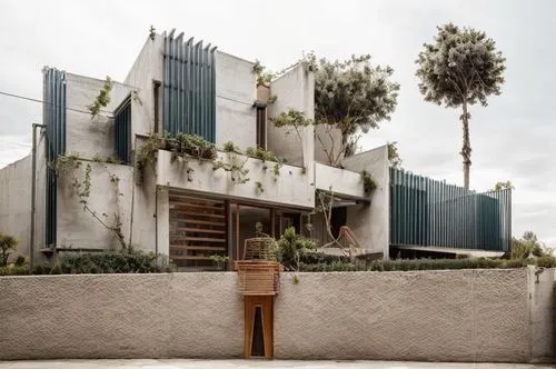 calle de asfalto al frente, personas,a modern looking house with some plants outside,altadena,syringe house,mid century house,cahuenga,midcentury,west hollywood,Architecture,General,Modern,Mexican Mod