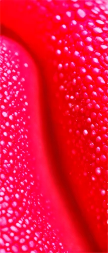 Tongue, close-up, pinkish-red color, tiny bumps, taste buds, small holes, moist surface, shiny appearance, soft focus, warm lighting, 3/4 composition, macro photography style, realistic texture, high-