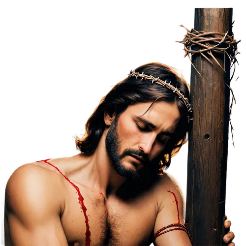 crucis,cruciger,jesus christ and the cross,christ thorn,jesus on the cross,holy week,crown of thorns,messias,jeshua,caridad,way of the cross,barabbas,mark with a cross,crucifix,good friday,crucifixions,christoval,nazareno,son of god,lenten,Photography,Documentary Photography,Documentary Photography 15