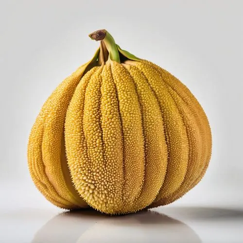 muskmelon,cucurbita,calabaza,cantalamessa,banani,kabocha,caciocavallo,nangka,alvorada,mandato,mangifera,cantalupo,hokkaido pumpkin,aureolus,calabazas,cocos nucifera,cantaloupe,melon,banaba,white pumpkin,Photography,General,Commercial