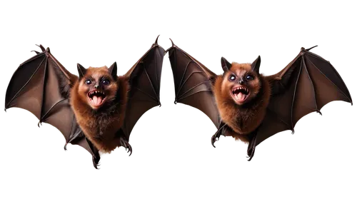 Dark brown bats, flying pose, spread wings, nocturnal eyes, sharp fangs, furry body, delicate fingers, hanging upside down, dark background, soft focus, cinematic lighting, 3/4 composition, shallow de