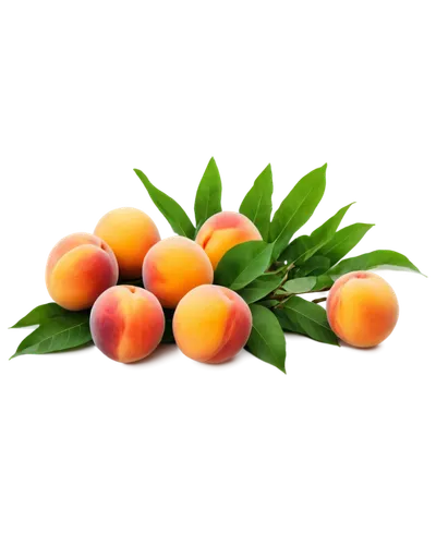 Peaches, still life, fruit arrangement, warm lighting, soft focus, shallow depth of field, 3/4 composition, juicy texture, ripe peaches, golden yellow skin, green leaves, wooden table, rustic backgrou