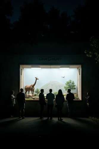 Capture an image of people seeing animals at a model zoo under the cover of night.,people looking at an exhibit inside a dark room,quetzalcoatlus,dinosauria,giraffatitan,gigantoraptor,pilobolus,dinosa