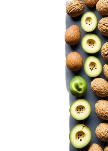 kiwifruit,acorns,apolipoprotein,microkernels,fruiting,kernels,avocation,palta,pine nuts,tree nut,ellipsoids,lipoprotein,pistachio nuts,laetrile,alternaria,liposomes,pulses,collecting nut fruit,cucurbitaceae,mutator,Conceptual Art,Daily,Daily 11