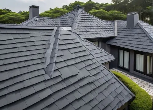 slate roof,roof landscape,roof tiles,tiled roof,house roofs,shingled,roof tile,grass roof,roof panels,folding roof,house roof,metal roof,shingling,roofing,roofing work,ridges,roofs,roof domes,velux,dormer,Unique,Paper Cuts,Paper Cuts 05