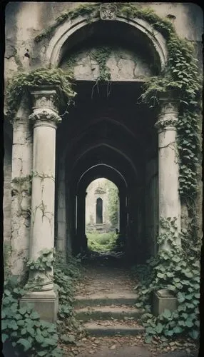 Abandoned, ruined, ancient, mysterious, crumbling, overgrown, vines, moss, broken columns, shattered windows, rusty gates, old bricks, stone walls, Ivy climbing, deserted, eerie atmosphere, dim lighti