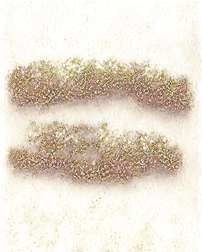 platyhelminthes,photomultipliers,rusty chain,microtubules,trumpet lichen,microtubule,spirochetes,anaerobes,conformations,golgi,stereogram,chromosomal,thylakoids,stereograms,polyptychus,bilayer,chromosomally,tritici,iron chain,cytogenetic,Illustration,Paper based,Paper Based 26