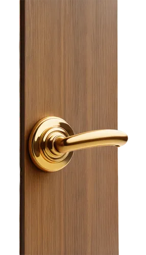 door handle,ironmongery,doorknobs,doorknob,door trim,door lock,door key,door keys,handles,door knocker,metallic door,handle,deadbolt,room door,door,hinged doors,deadbolts,key hole,escutcheons,architrave,Photography,Black and white photography,Black and White Photography 01