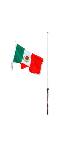 Mexican flag, waving in wind, vibrant colors, green white red tricolor, diagonal stripe, tassel attached, pole on left side, close-up shot, shallow depth of field, natural light, high contrast, detail