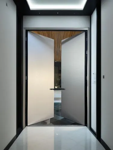 豪华别墅建筑室内出口场景，现代极简，白天效果,an empty white door is opened revealing the entrance to a bathroom,hinged doors,associati,hallway space,metallic door,room door,recessed,the threshold of the house,architraves,s