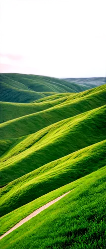 palouse,green landscape,green fields,rolling hills,windows wallpaper,greenfeld,green grass,toscane,green meadow,farmland,grasslands,colline,grassland,polder,flatlands,collineation,virtual landscape,landscape background,gras,castelluccio,Illustration,Abstract Fantasy,Abstract Fantasy 18