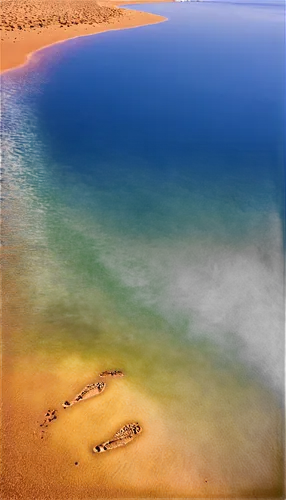 sunken boat,dead vlei,aerial view of beach,the dead sea,acid lake,waterscape,drone image,elasmosaurus,laguna verde,sossusvlei,dakhla,underwater landscape,the body of water,vlei,magadi,sabhavasu,nuweiba,lake powell,namib desert,beach landscape,Art,Classical Oil Painting,Classical Oil Painting 25