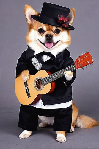 musical rodent,guitar player,musician,dogecoin,animals play dress-up,guitarist,mariachi,jazz guitarist,corgi,rock 'n' roll,rock and roll,rocker,guitor,rock'n roll,rock n roll,shiba inu,pomeranian,welschcorgi,banjo bolt,corgi-chihuahua,Conceptual Art,Fantasy,Fantasy 29