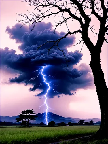 lightning storm,lightning strike,lightning,thunderstorms,thundershower,lightning bolt,lightening,tormenta,nature's wrath,thundering,thundershowers,supercell,orage,stormed,thunderous,isolated tree,storms,calbuco,monsoon,thunderclouds,Illustration,Paper based,Paper Based 30