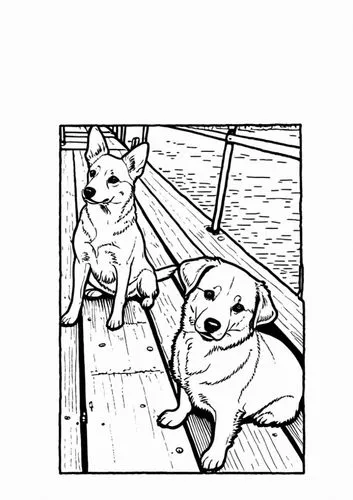 dog line art,coloring page,coloring pages,dog frame,doges,cat line art,boat ride,coloring pages kids,summer line art,akitas,corgis,line art children,pooches,two dogs,color dogs,boat trip,nautical chil