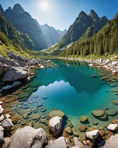 random animal planet channel, photoshot,alpine lake,tatra mountains,heaven lake,mountain spring,beautiful lake,glacial lake,lago di carezza,oeschinen lake,morskie oko,schrecksee,alpsee,mountain lake,b