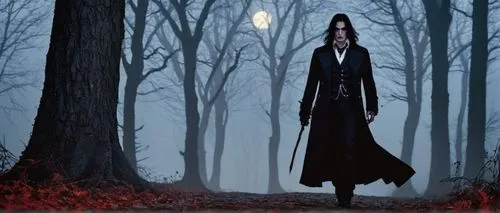 Alucard, vampire, solo, male, long black hair, piercing red eyes, pale skin, dark eyeliner, sharp fangs, black coat, white shirt, black trousers, leather boots, walking stick, foggy night, full moon, 