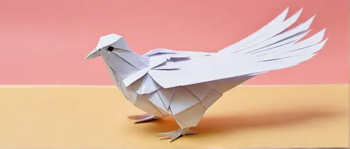 dove of peace,peace dove,paper art,doves of peace,white dove,origami,an ornamental bird,origami paper plane,carrier pigeon,crane-like bird,plumed-pigeon,decoration bird,white pigeon,white bird,origami paper,3d crow,ornamental bird,tern bird,dove,bird flying,Unique,Paper Cuts,Paper Cuts 02