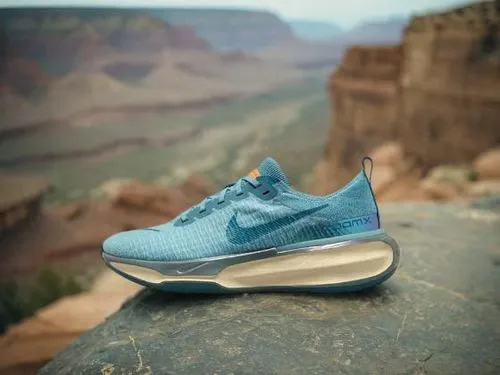 a shoe is placed on a rock in front of the canyon,hiking shoe,south rim,hiking shoes,grand canyon,nikes,tinker,Small Objects,Outdoor,Canyon