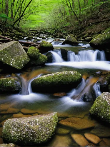 mountain stream,flowing creek,mountain spring,brook landscape,flowing water,streams,clear stream,green waterfall,the brook,water flowing,stream bed,water flow,rushing water,mountain river,river landscape,great smoky mountains,a small waterfall,cascading,green landscape,green trees with water,Photography,Fashion Photography,Fashion Photography 23