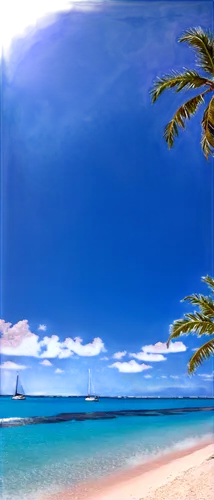 Leaks Bay, tropical island, white sandy beach, clear turquoise water, palm trees swaying gently, sailboats in distance, sunny day, few clouds, 3/4 composition, shallow depth of field, warm color tone,